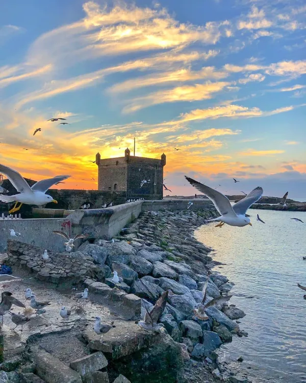 Essaouira Day Trip from Marrakech – Coastal Escape & Cultural Experience